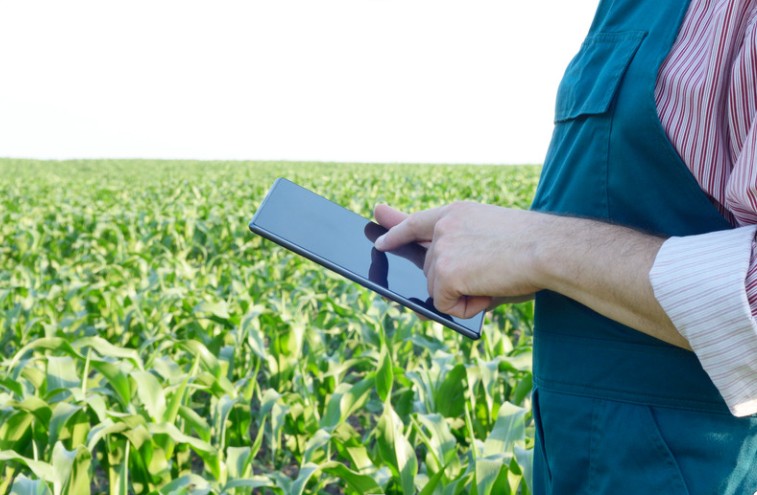 Procurement specialist reviewing sourcing data in the field